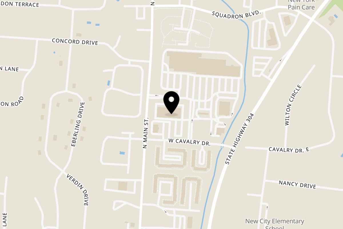 Map showing the location of Mille Luci Pizzeria on 170 N Main St in New City